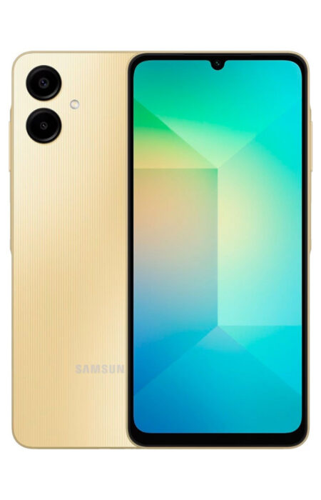 A06